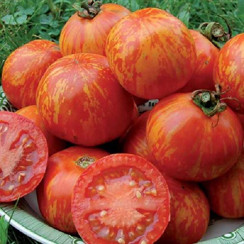 TOMATES Red Zebra